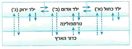 (בספר שלושה איורים, היעזר במנחה)
